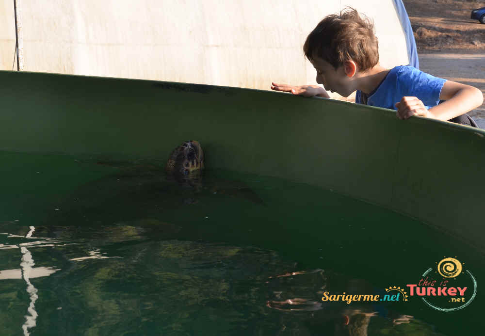 Half Day Tour to Turtle Sanctuary in Dalyan and Lunch at Yuvarlakcay
