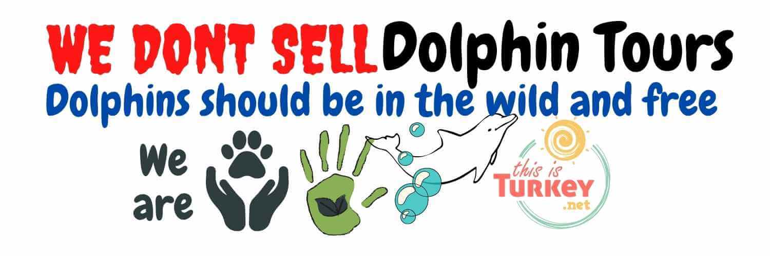 We do not sell Dolphinarium tours, Dolhins should be free and in the wild