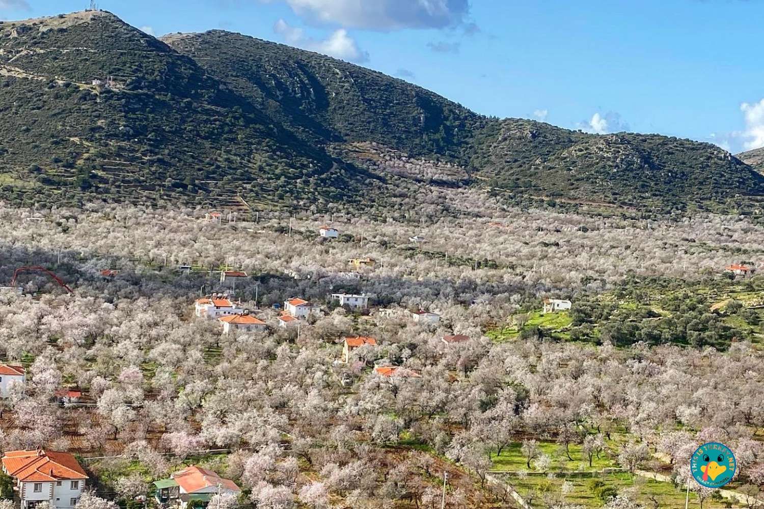 Datca in Turkey . Daily Excursions. in and from Datca. Trekking Tours, Boat Tours.